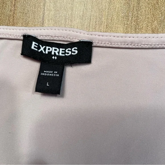 Express Ivory/pink V-Neck Bodysuit - Picture 5 of 6